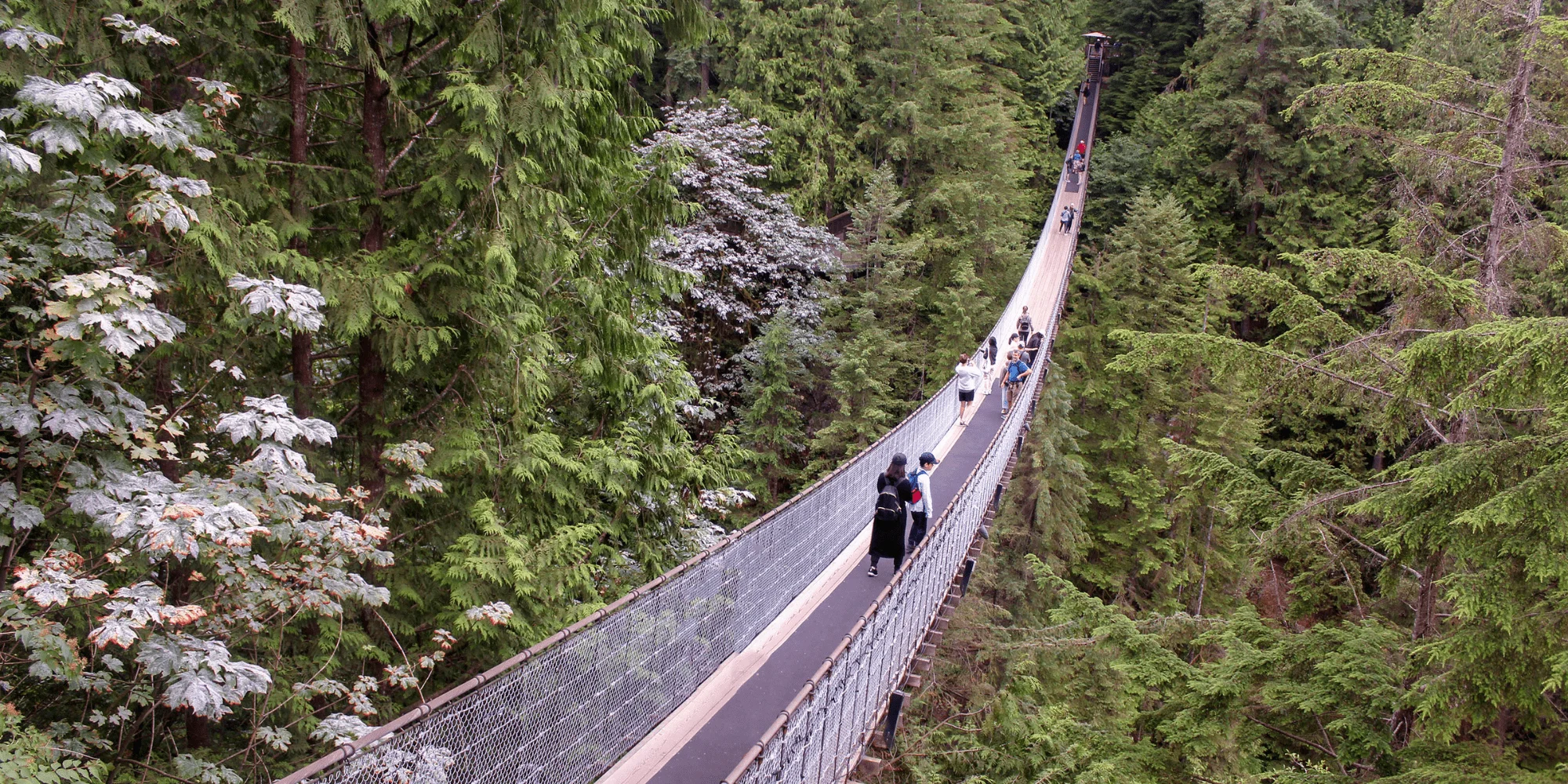 The Capilano Suspension Bridge