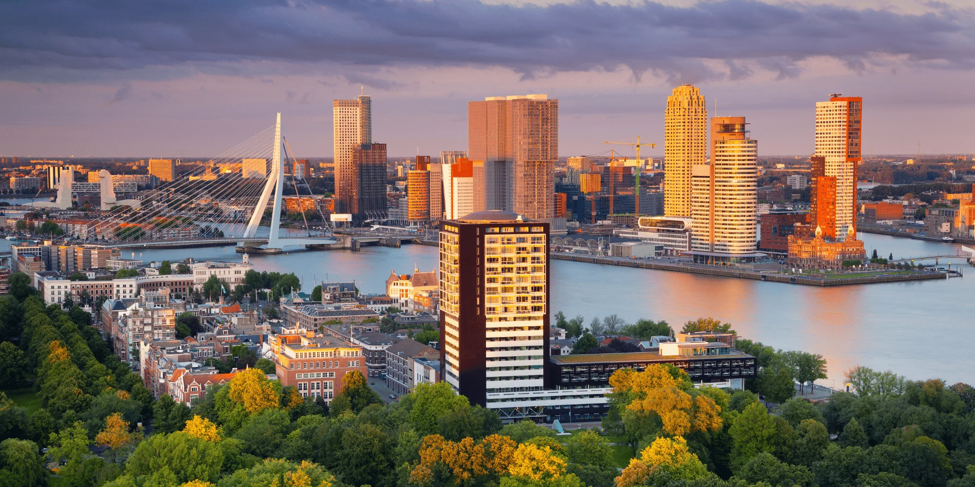 The Rotterdam skyline