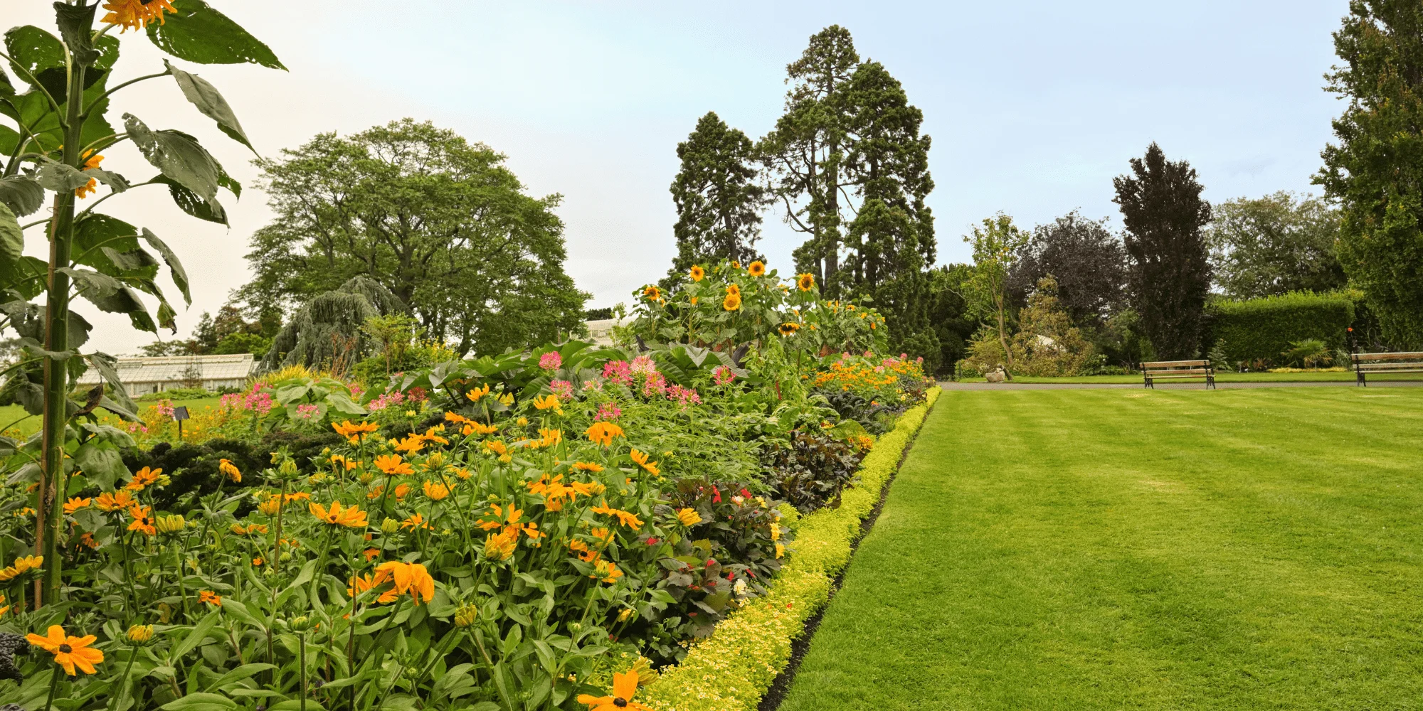 The National Botanic Gardens